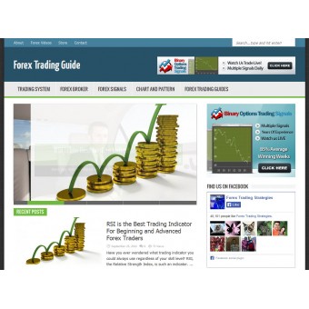 Forex Trading Niche Blog 